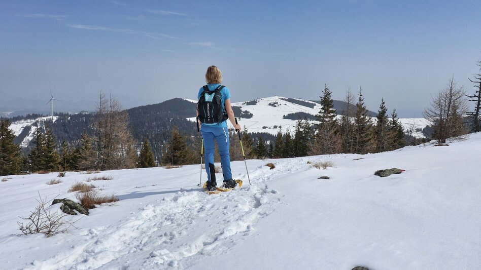 Schneeschuhwandern Schneeschuhwanderung Rappoldkogel vom Alten Almhaus - Touren-Impression #2.9 | © Weges OG