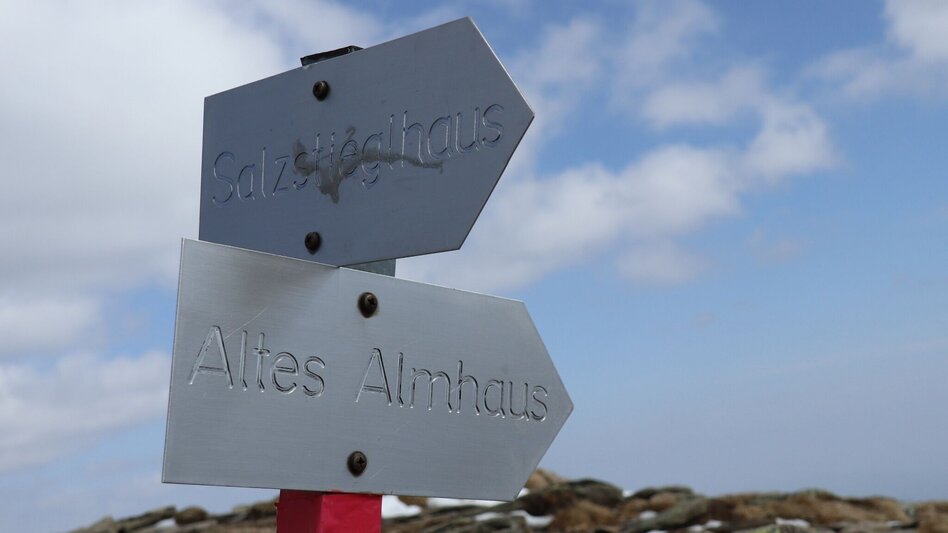 Schneeschuhwandern Schneeschuhwanderung Rappoldkogel vom Alten Almhaus - Touren-Impression #2.11 | © Weges OG