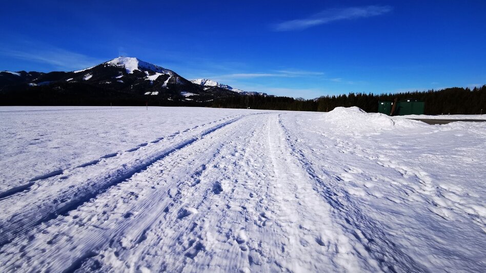 Winterwandern Winterwanderweg am Flugfeld St. Sebastian - Touren-Impression #2.1 | © TV Hochsteiermark