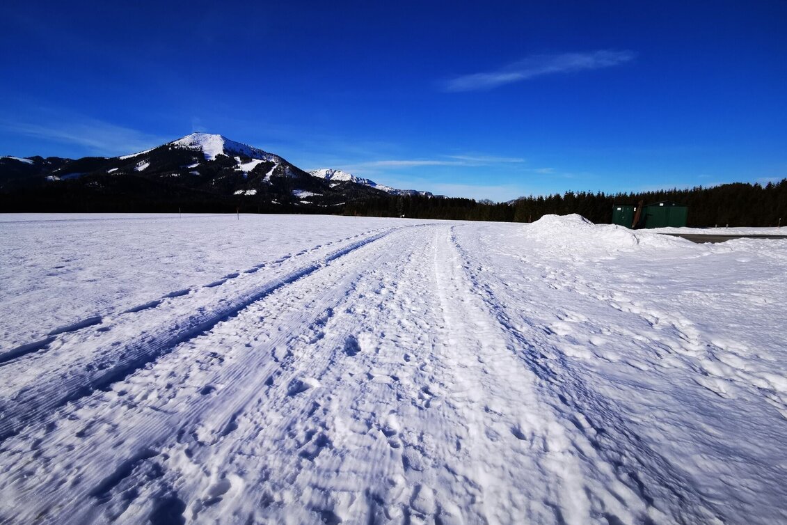 Winterwandern Winterwanderweg am Flugfeld St. Sebastian - Touren-Impression #1 | © TV Hochsteiermark