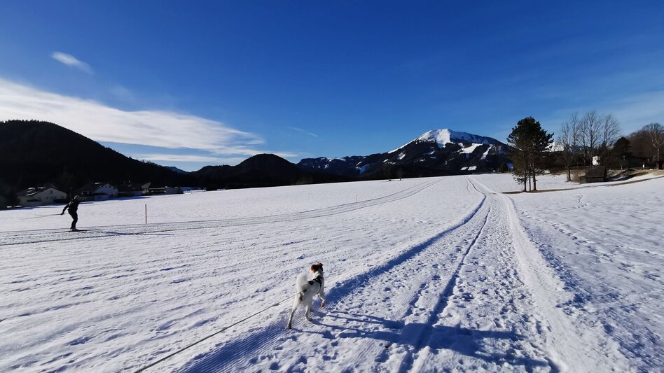 Winterwandern Winterwanderweg am Flugfeld St. Sebastian - Touren-Impression #2.4 | © TV Hochsteiermark