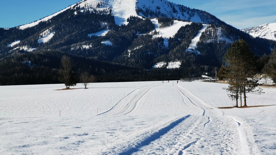Winterwandern Winterwanderweg am Flugfeld St. Sebastian - Touren-Impression #2.5 | © TV Hochsteiermark