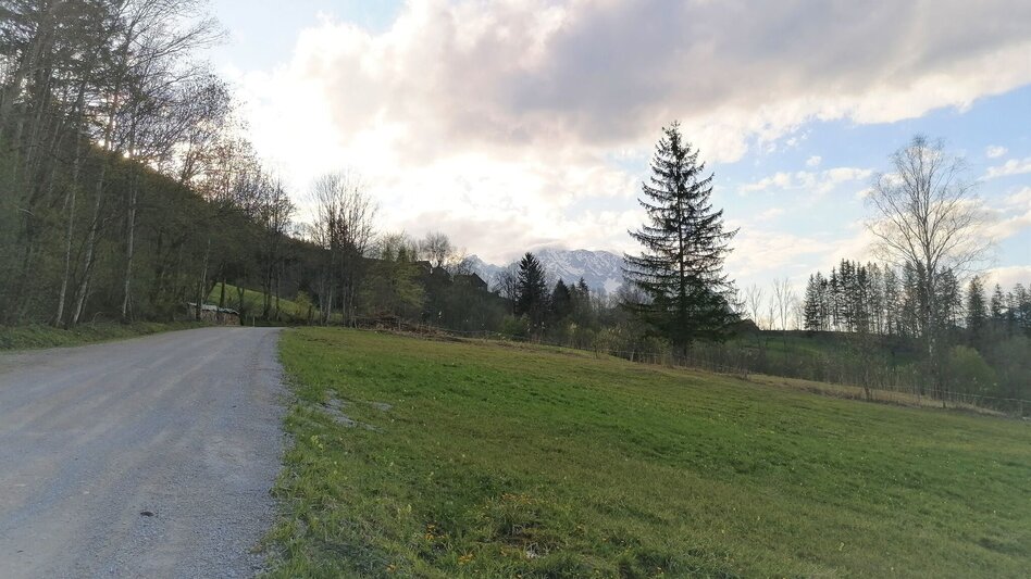 Wanderung Fischerweg - Touren-Impression #2.2 | © Erlebnisregion Schladming-Dachstein