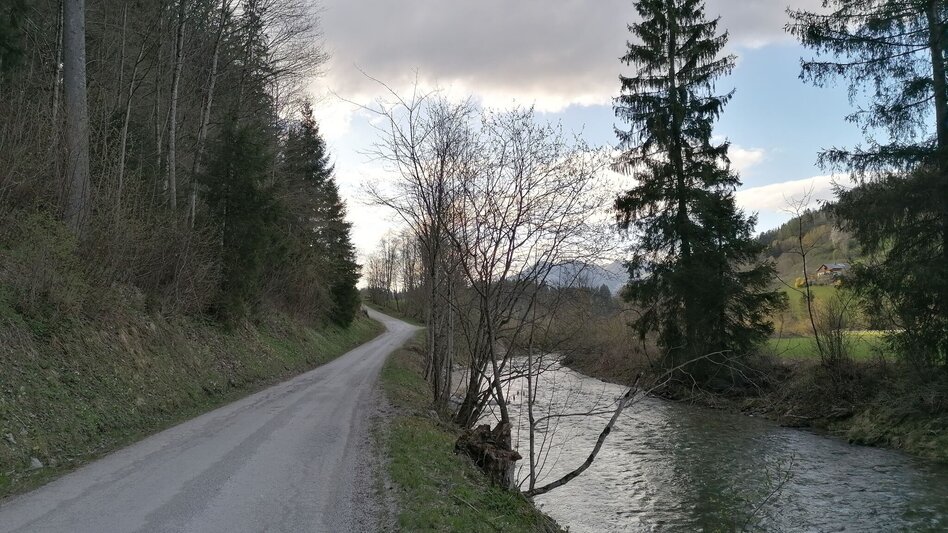 Wanderung Fischerweg - Touren-Impression #2.3 | © Erlebnisregion Schladming-Dachstein
