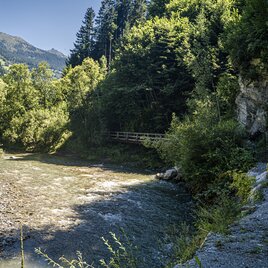 20250808_Aigen-Gatschberg-Donnersbach_4021.jpg | © Gerhard Pilz