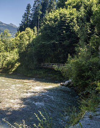 20250808_Aigen-Gatschberg-Donnersbach_4021.jpg | Gerhard Pilz | © Gerhard Pilz