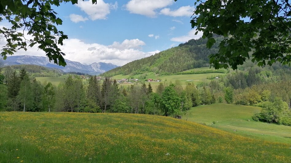 Wanderung Fischerweg - Touren-Impression #2.1 | © Erlebnisregion Schladming-Dachstein