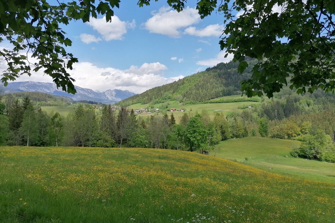 Wanderung Fischerweg - Touren-Impression #1 | © Erlebnisregion Schladming-Dachstein