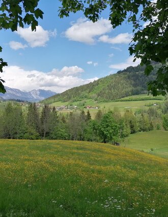 Landschaft am Fischerweg | © Erlebnisregion Schladming-Dachstein