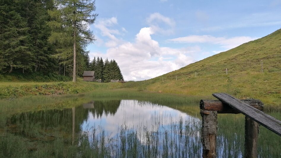 Wanderung Stubeggweg - Touren-Impression #2.2 | © Erlebnisregion Schladming-Dachstein