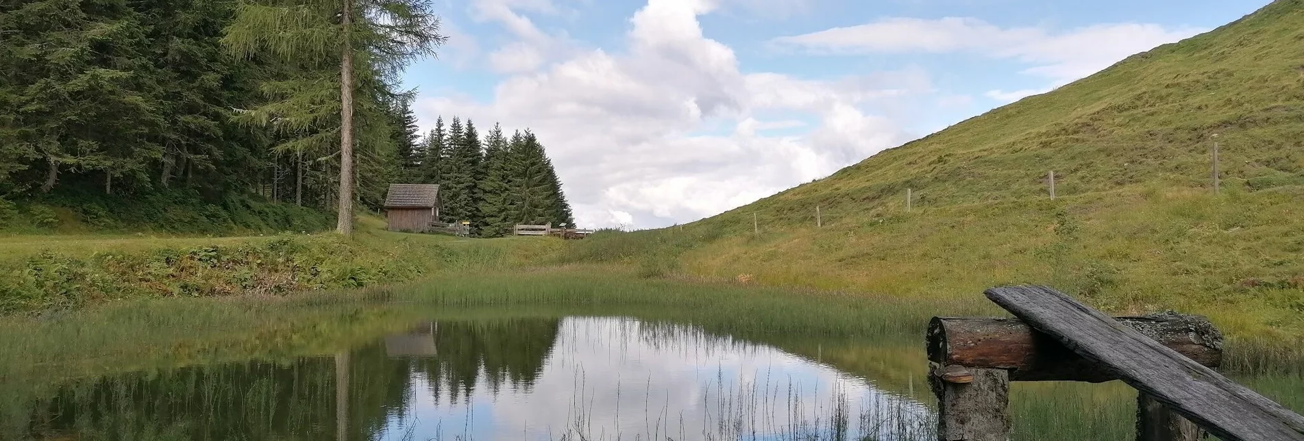 Wanderung Stubeggweg - Touren-Impression #1 | © Erlebnisregion Schladming-Dachstein