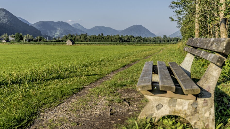 Wasserweg Enns- und Wörschacher Moosweg - Touren-Impression #2.2 | © Christoph Lukas