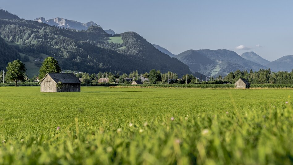 Wasserweg Enns- und Wörschacher Moosweg - Touren-Impression #2.3 | © Christoph Lukas