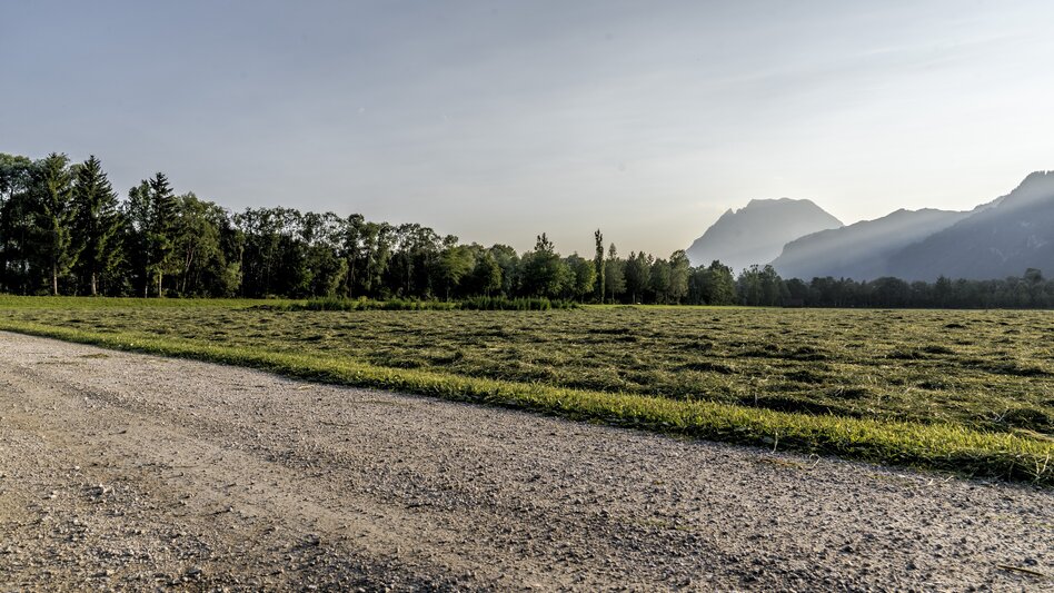 Wasserweg Enns- und Wörschacher Moosweg - Touren-Impression #2.5 | © Christoph Lukas