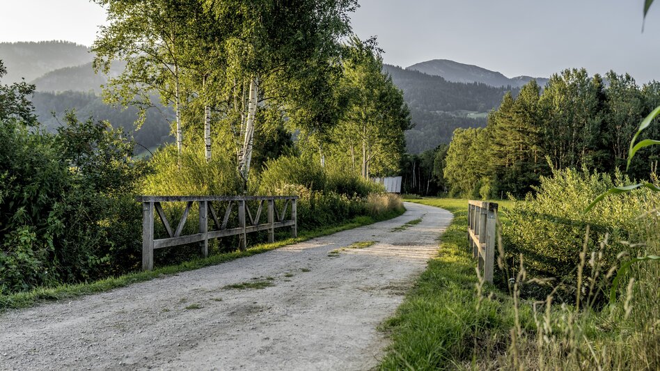 Wasserweg Enns- und Wörschacher Moosweg - Touren-Impression #2.6 | © Christoph Lukas