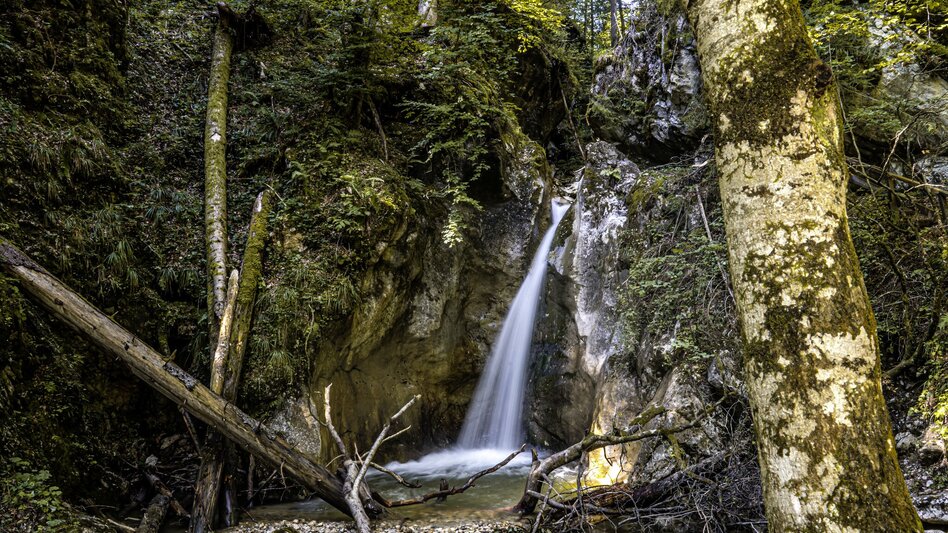 Hiking Route Spechtenlake via Wörschachklamm - Touren-Impression #2.6