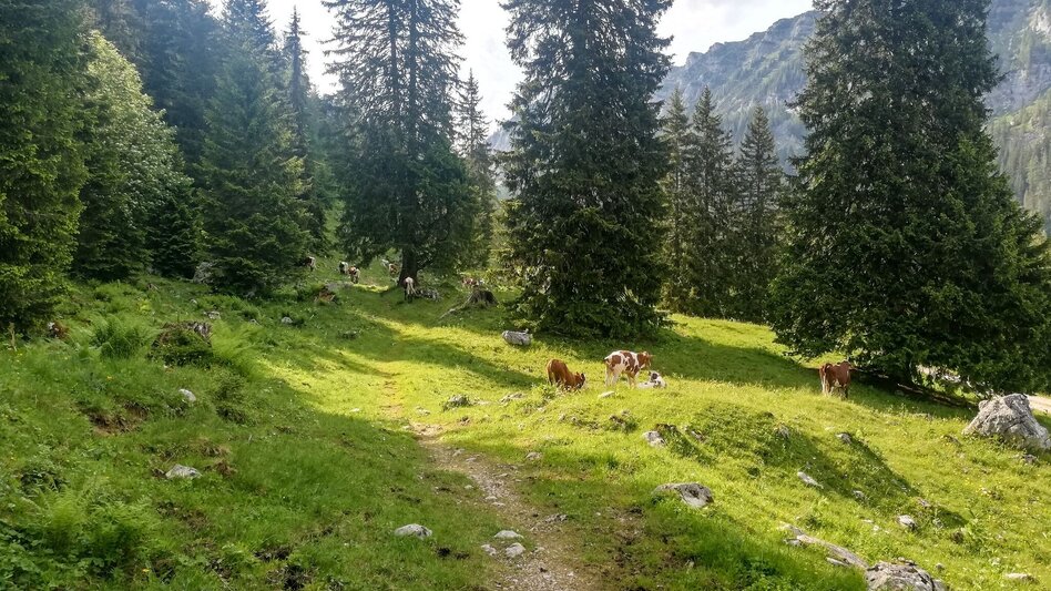 Hiking Route Tausinground - Touren-Impression #2.1 | © Tourismusverband Grimming-Donnersbachtal