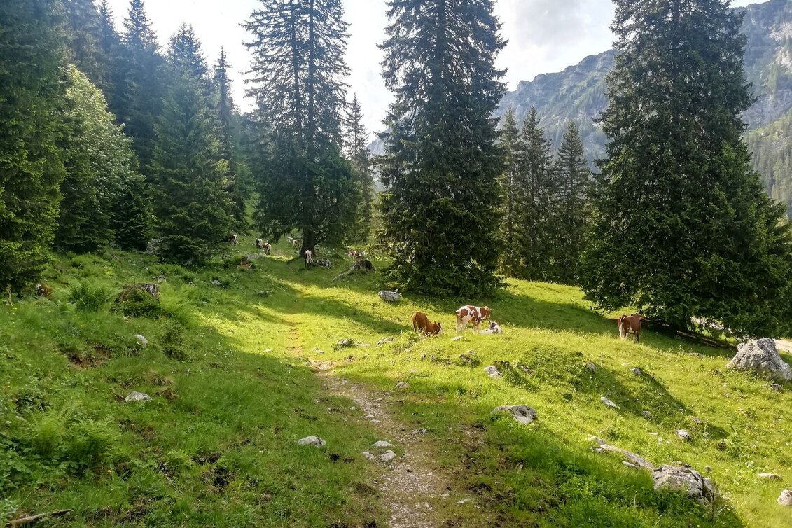 Hiking Route Tausinground - Touren-Impression #1 | © Tourismusverband Grimming-Donnersbachtal