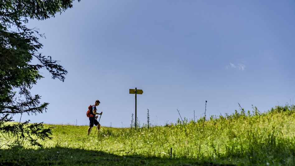 Wanderung Aicherlkaralm und Aicherlstein - Touren-Impression #2.5 | © Christoph Lukas