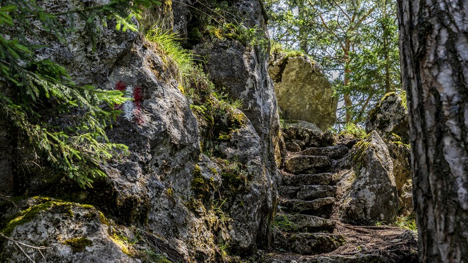 Wanderung Aicherlkaralm und Aicherlstein - Touren-Impression #2.9 | © Christoph Lukas