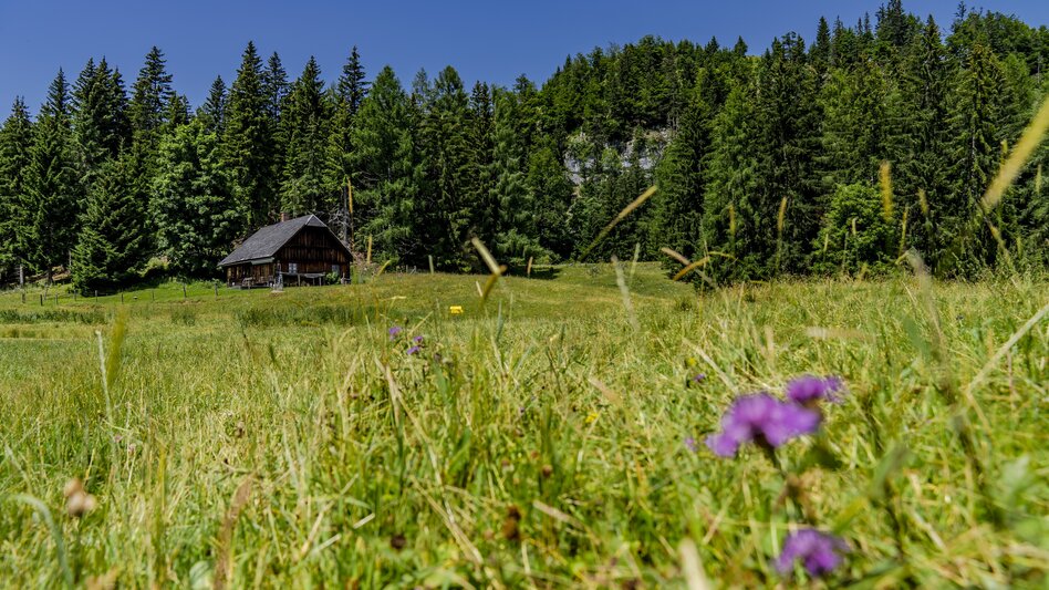 Wanderung Aicherlkaralm und Aicherlstein - Touren-Impression #2.10 | © Christoph Lukas