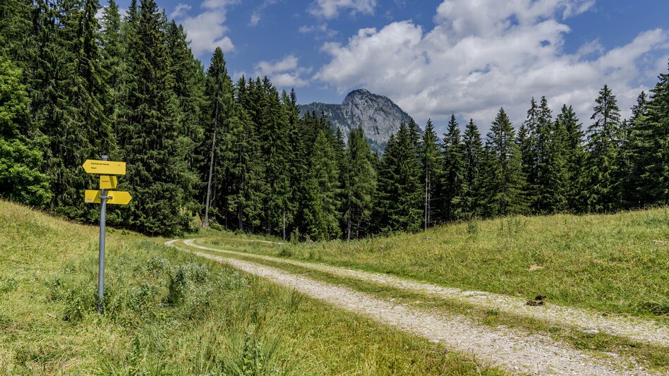 Wanderung Aicherlkaralm und Aicherlstein - Touren-Impression #2.11 | © Christoph Lukas