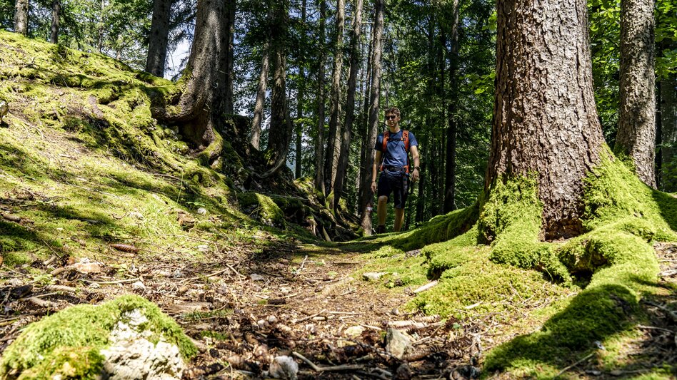 Wanderung Aicherlkaralm und Aicherlstein - Touren-Impression #2.13 | © Christoph Lukas