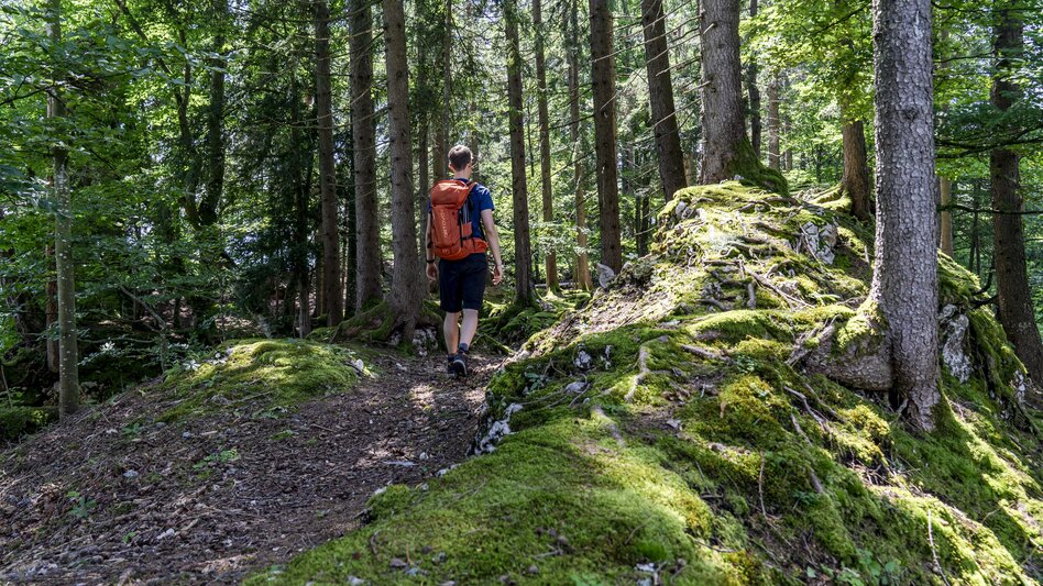 Wanderung Aicherlkaralm und Aicherlstein - Touren-Impression #2.14 | © Christoph Lukas