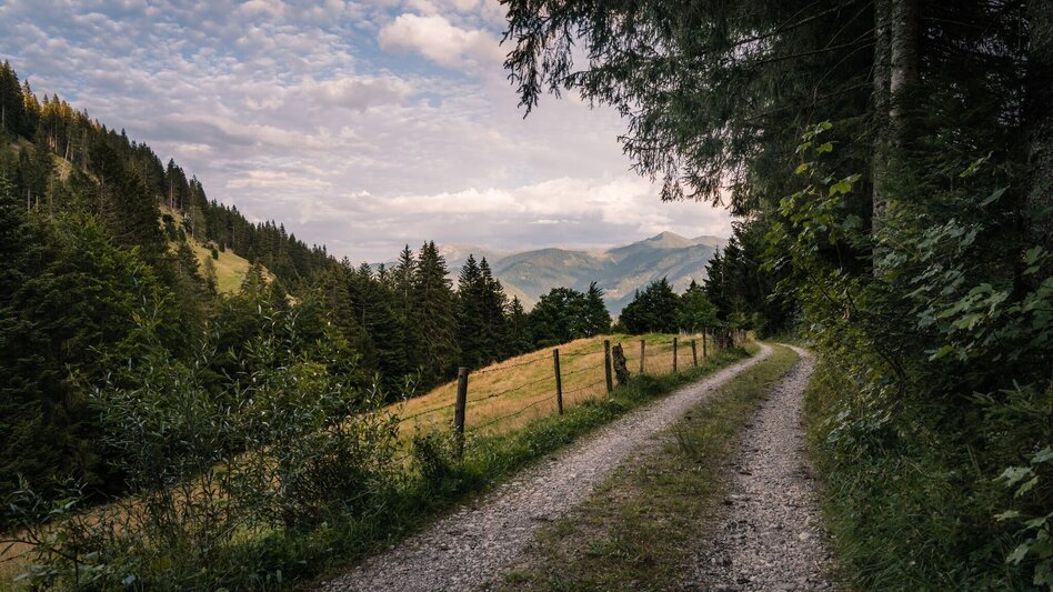 Wanderung Spechtensee über Leistenalm & Sinirböden - Touren-Impression #2.4 | © Erlebnisregion Schladming-Dachstein