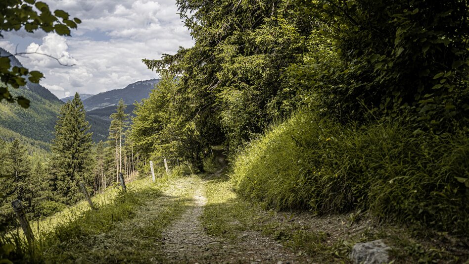 Hiking Route Old Church and Natureway - Touren-Impression #2.6