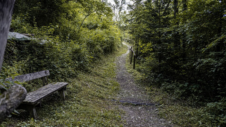 Hiking Route Old Church and Natureway - Touren-Impression #2.3