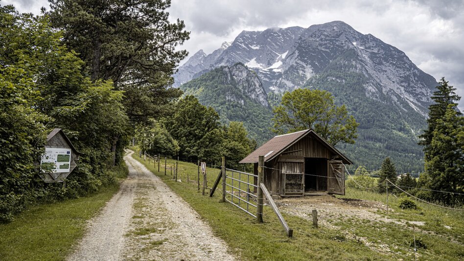 Hiking Route Old Church and Natureway - Touren-Impression #2.15