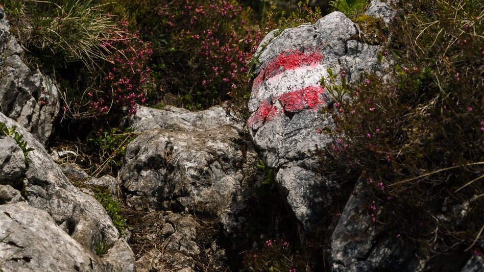 Bergtour Hechlsteinrunde - Touren-Impression #2.2 | © Erlebnisregion Schladming-Dachstein