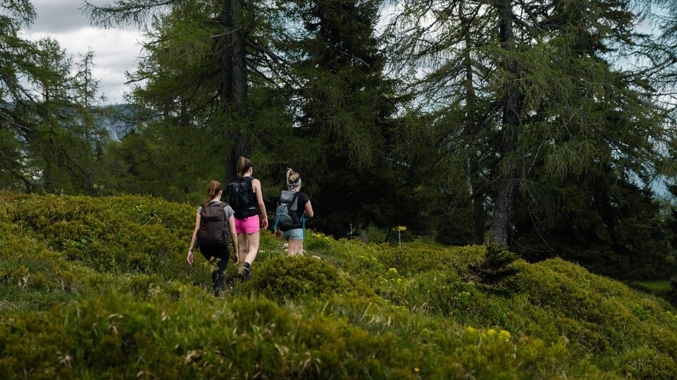 Bergtour Hechlsteinrunde - Touren-Impression #2.4 | © Erlebnisregion Schladming-Dachstein