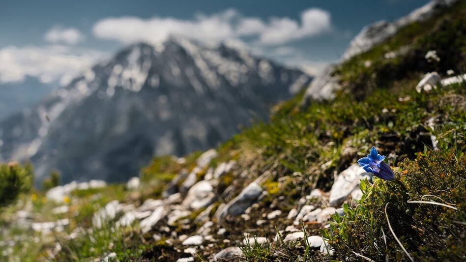 Bergtour Hechlsteinrunde - Touren-Impression #2.7 | © Erlebnisregion Schladming-Dachstein