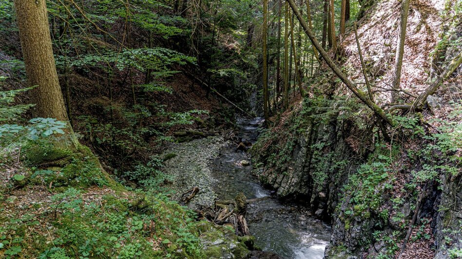 Wanderung Lesserner Wasserfall - Touren-Impression #2.9 | © Erlebnisregion Schladming-Dachstein