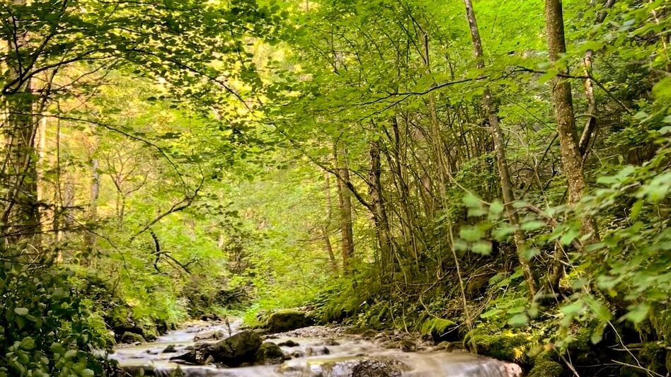 Wanderung Lesserner Wasserfall - Touren-Impression #2.3