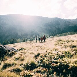 Auf der Michelirlingalm | © Erlebnisregion Schladming-Dachstein