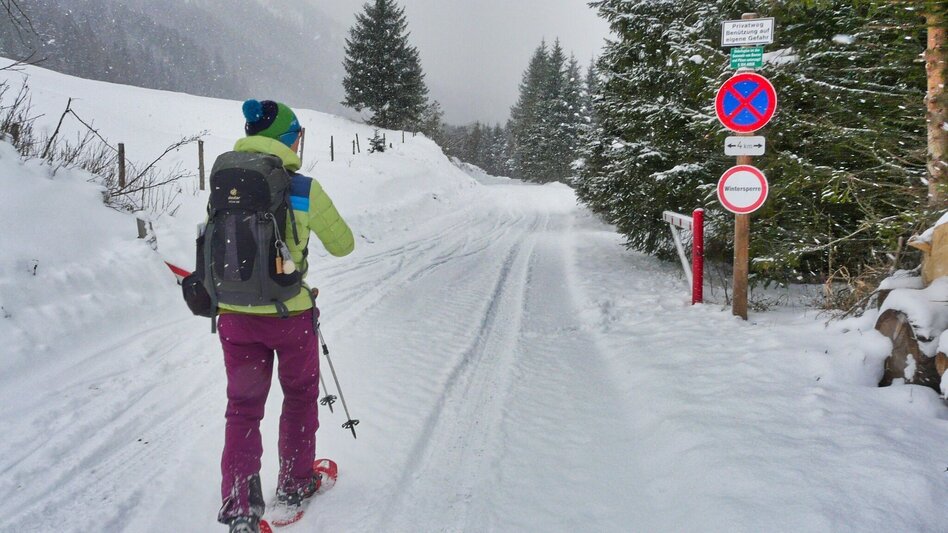 Snowshoe Walking Snowshoe hiking in the Schwaberggraben - Touren-Impression #2.6 | © Weges OG