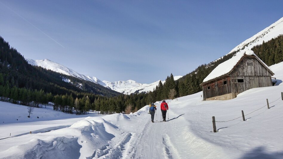 Snowshoe Walking Snowshoe hiking in the Schwaberggraben - Touren-Impression #2.7 | © Weges OG
