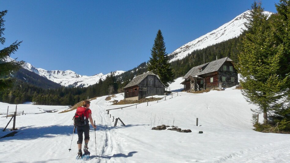Snowshoe Walking Snowshoe hiking in the Schwaberggraben - Touren-Impression #2.8 | © Weges OG