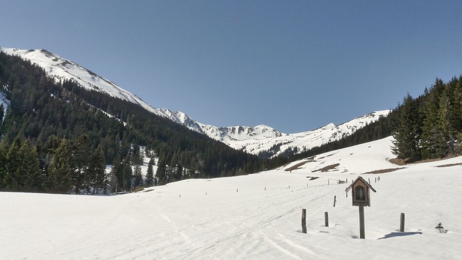 Snowshoe Walking Snowshoe hiking in the Schwaberggraben - Touren-Impression #2.10 | © Weges OG