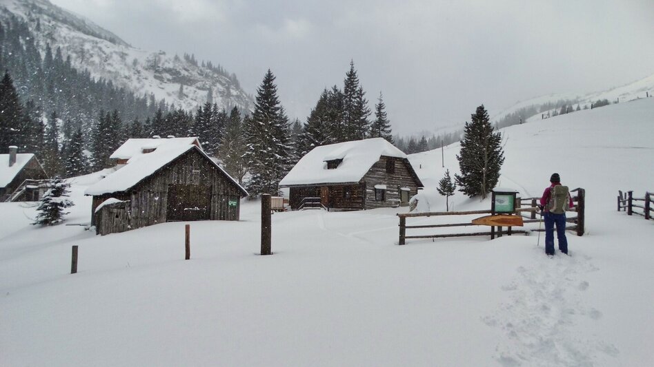 Snowshoe Walking Snowshoe hiking in the Schwaberggraben - Touren-Impression #2.11 | © Weges OG