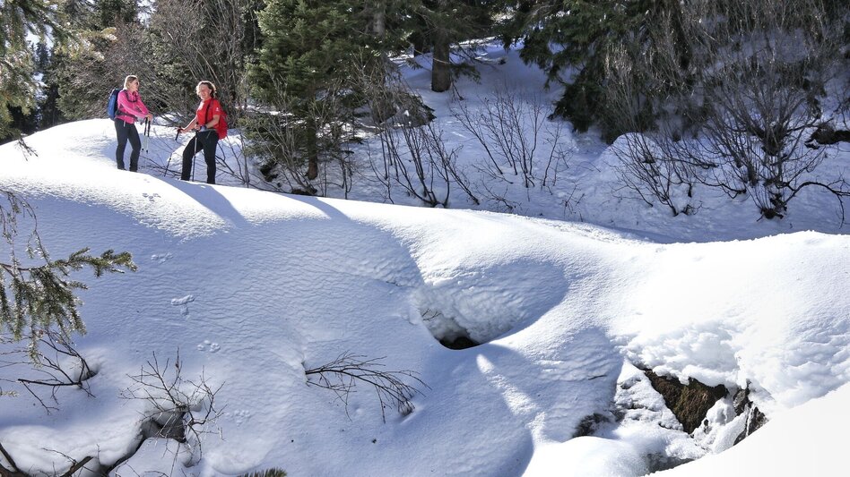 Snowshoe Walking Snowshoe hiking in the Schwaberggraben - Touren-Impression #2.16 | © Weges OG