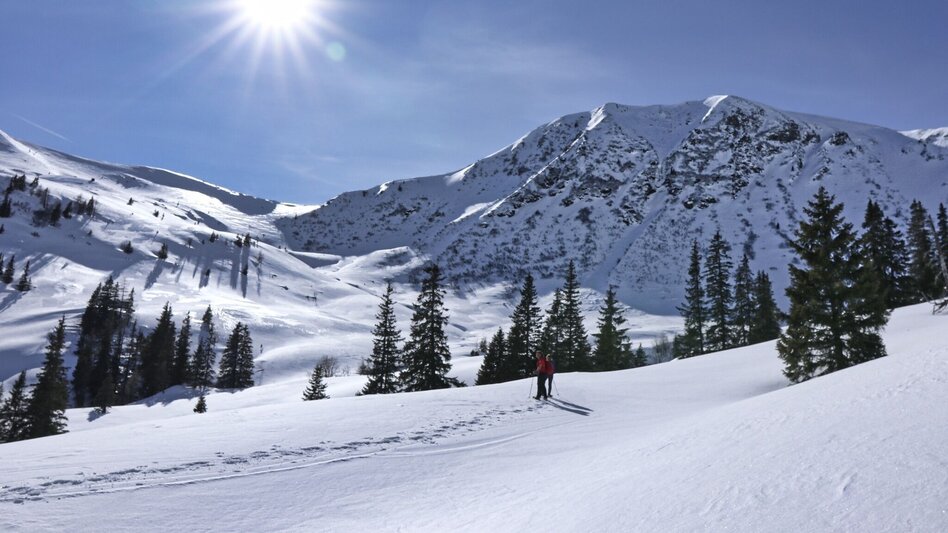 Snowshoe Walking Snowshoe hiking in the Schwaberggraben - Touren-Impression #2.17 | © Weges OG