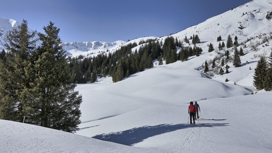 Snowshoe Walking Snowshoe hiking in the Schwaberggraben - Touren-Impression #2.18 | © Weges OG