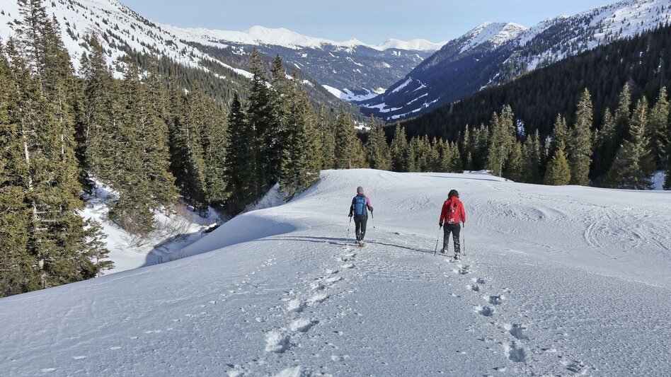 Snowshoe Walking Snowshoe hiking in the Schwaberggraben - Touren-Impression #2.1 | © Weges OG