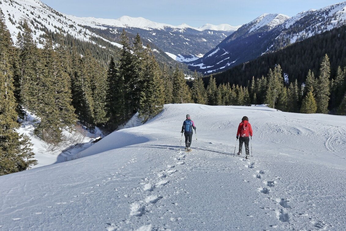 Snowshoe Walking Snowshoe hiking in the Schwaberggraben - Touren-Impression #1 | © Weges OG