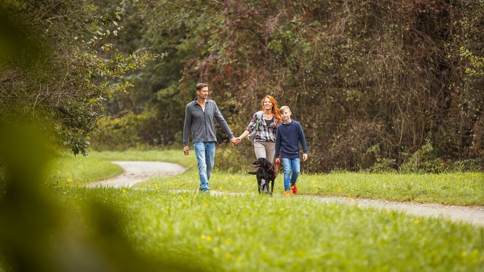 Hiking Route Short recreation and family hiking trail - Touren-Impression #2.1 | © Südsteiermark