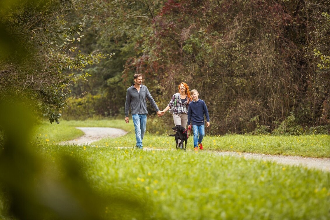 Hiking Route Short recreation and family hiking trail - Touren-Impression #1 | © Südsteiermark